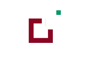 Divi Theme Center